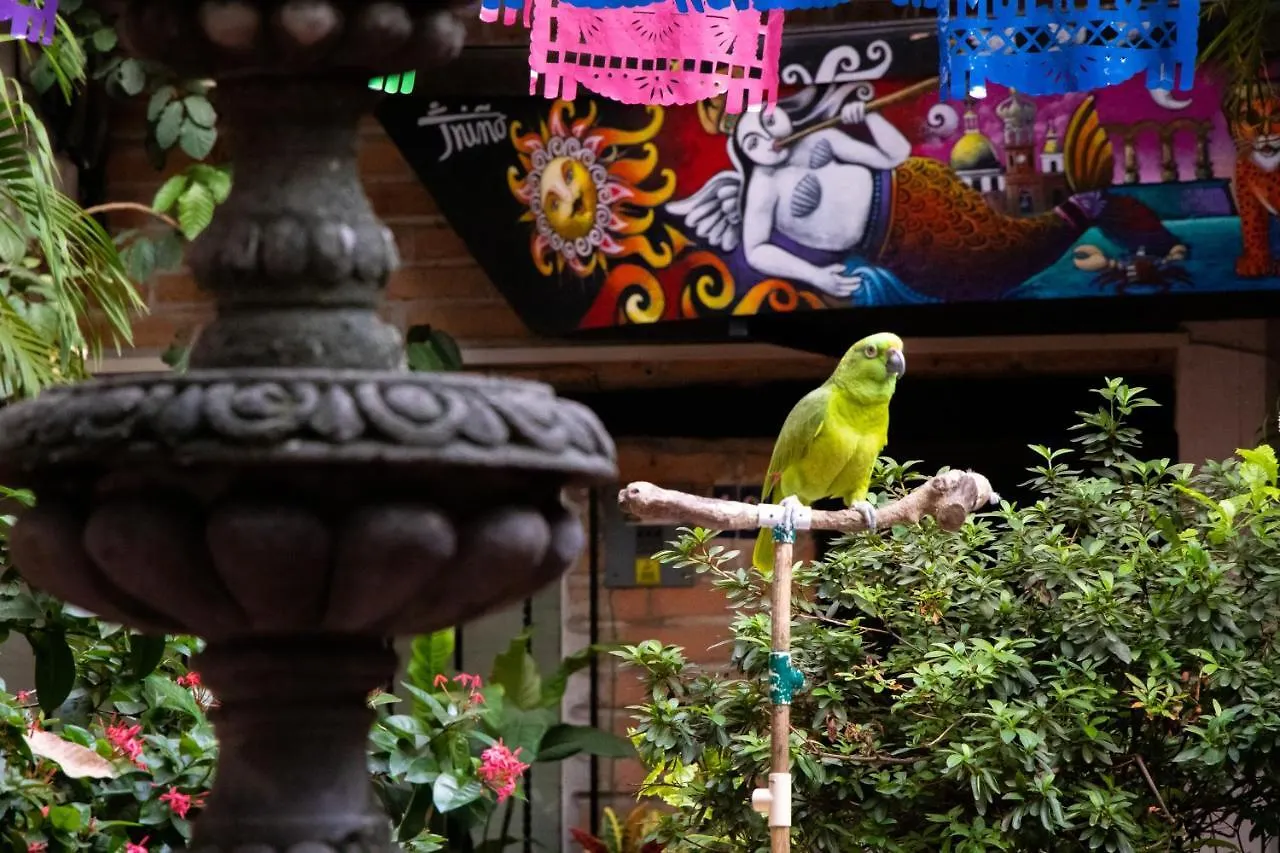 ***  Hotel Posada De Roger 푸에르토 발라타 멕시코